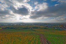 L1029284_DxO-v152-8.jpg L1029284_DxO-v152-8.jpg