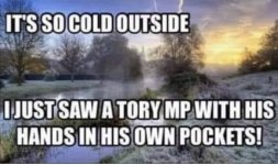 torywinter.jpg