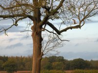 PB061656-1k.jpg PB061656-1k.jpg