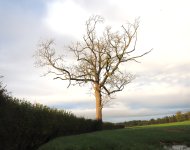 PB061715-1k.jpg PB061715-1k.jpg