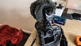 P1051283.jpg P1051283.jpg