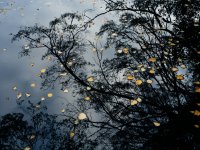 Axe Pond (3 of 10) - B0001430_1024.jpg Axe Pond (3 of 10) - B0001430_1024.jpg