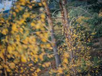 Axe Pond (8 of 10) - B0001473_1024.jpg Axe Pond (8 of 10) - B0001473_1024.jpg