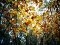 Caesars Camp Fog_1024 (2 of 3) - B0001723.jpg