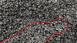 52497086513_c70edcd5ce_b copy.jpg 52497086513_c70edcd5ce_b copy.jpg