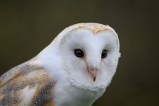 DSC_5107.jpg DSC_5107.jpg