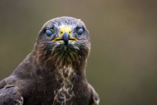 DSC_5598_4k.jpg DSC_5598_4k.jpg