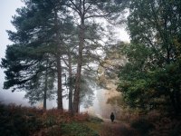 Frensham Fog _ 1024 (4 of 4) - B0001940.jpg