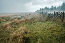 027 Stormy Weather 03-9204 PS Adj.JPG