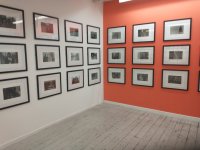 IMG_20221116_132406250.jpg IMG_20221116_132406250.jpg