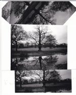 IMG_20221118_0004.jpg IMG_20221118_0004.jpg