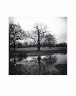 IMG_20221118_0003.jpg IMG_20221118_0003.jpg