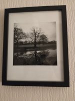 IMG_20221119_213455477.jpg IMG_20221119_213455477.jpg