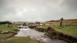 002 Windy Post 01-1405 PS Adj.JPG