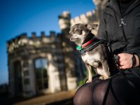 40th Birthday - 1024 (15 of 19) - B0003181.jpg