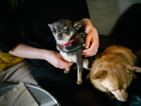 40th Birthday - 1024 (16 of 19) - B0003245.jpg