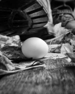 egg.jpg