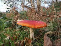 20221119-OB191100_1.jpg 20221119-OB191100_1.jpg