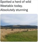 weetabix.jpg