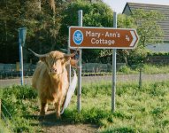 000092800029-copy-tp.jpg 000092800029-copy-tp.jpg