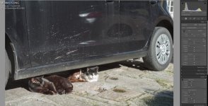 Screenshot 2022-11-25 at 23.25.47.jpg