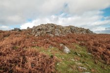 019 Legis Tor 02-1416 PS Adj.JPG