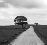 Minimal5.jpg Minimal5.jpg