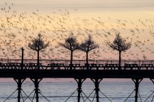 EM1X0218.jpg EM1X0218.jpg