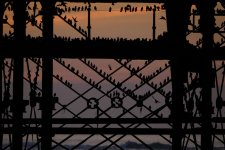 EM1X0320.jpg EM1X0320.jpg