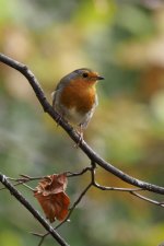 EM1X0026.jpg EM1X0026.jpg