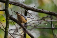 EM1X0081.jpg EM1X0081.jpg