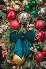 Week 47 Ornamental.JPG