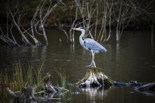 EM1X0355.jpg EM1X0355.jpg