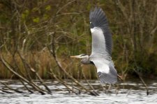 EM1X0560.jpg EM1X0560.jpg