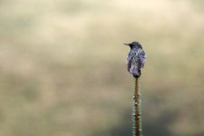 EM1X0618.jpg EM1X0618.jpg