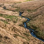 025 Rattlebrook 01-1010670 PS Adj.JPG