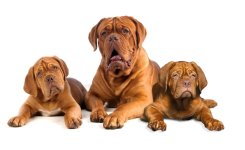 Untitled-1.jpg Untitled-1.jpg