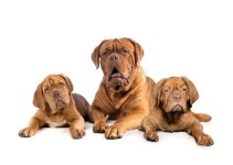 52545329110_50cb5f190f_o.jpg 52545329110_50cb5f190f_o.jpg