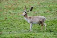 P1025226 edited (Custom).jpg