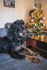 DSCF5032.jpg DSCF5032.jpg