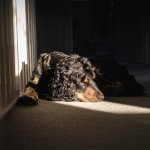 DSCF5058.jpg DSCF5058.jpg