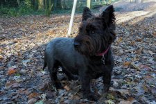 BFEF6F0E-B3C2-485B-A467-D22845DF859F.jpeg BFEF6F0E-B3C2-485B-A467-D22845DF859F.jpeg