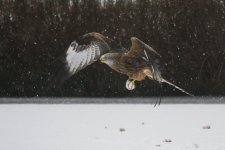 EM1X1208.jpg EM1X1208.jpg