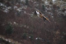 EM1X1256.jpg EM1X1256.jpg