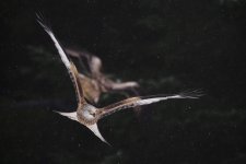 EM1X1290.jpg EM1X1290.jpg