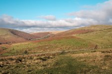 026 Piles Copse 03-2273 PS Adj.JPG