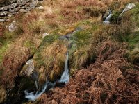 007 Piles Brook (GFX) 02-0287 PS Adj.JPG