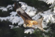 EM1X1460.jpg EM1X1460.jpg