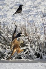 EM1X1563.jpg EM1X1563.jpg