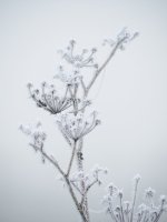 C111270 (1).jpg C111270 (1).jpg